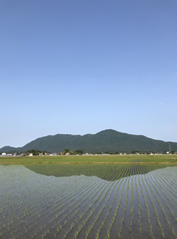 理学療法士:三井望さん